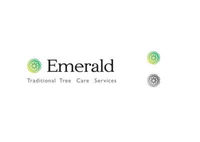 Emerald logo concept 1 logo