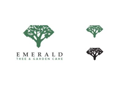 Emerald logo concept 2 logo NEW