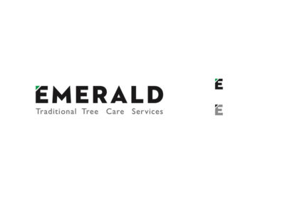 Emerald logo concept 3 logo