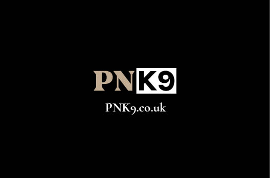 PNK9 business card2